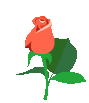 Grafik