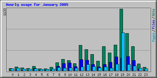 Hourly usage for January 2005