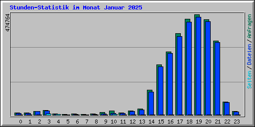 Stunden-Statistik im Monat Januar 2025